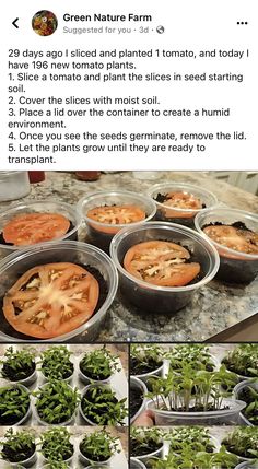 several pictures of different types of food in plastic containers on a table with plants growing out of them