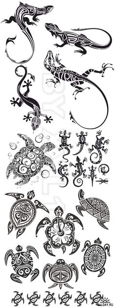 an assortment of lizards and lizards tattoo designs