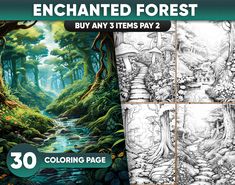 an image of a forest scene with the text, enchanted forest buy any 3 items