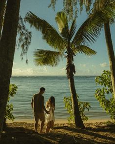 a man and woman walking on the beach with palm trees in front of them, holding hands