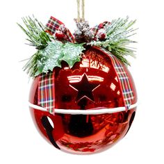 a christmas ornament hanging from a rope with holly and bow on the top