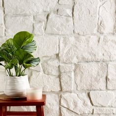 a plant in a white vase sitting on a wooden table next to a brick wall