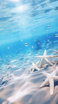 two starfishs on the sand under water