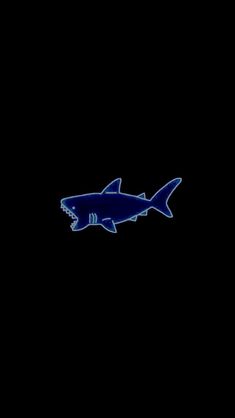 a blue shark swimming in the dark water