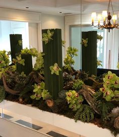 an arrangement of green plants and flowers in a room