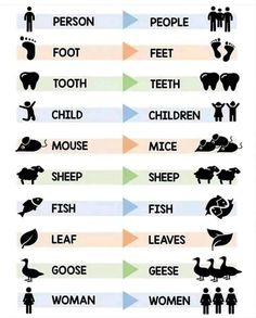 Struktur Teks, Irregular Plurals