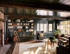 a living room filled with furniture and bookshelves next to a fire hydrant