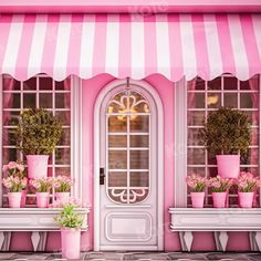 a pink store front with potted plants and flowers in the window sills