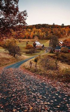 an autumn scene with leaves on the ground and houses in the distance, surrounded by trees