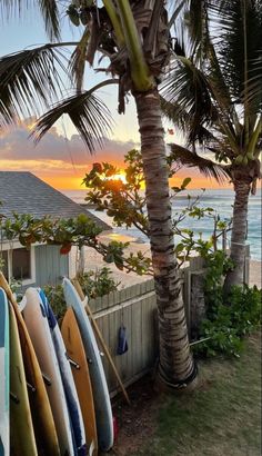 several surfboards are lined up against a fence near the ocean and palm trees at sunset