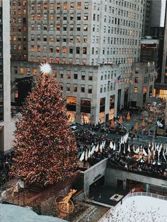 a large christmas tree in the middle of a city