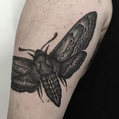 a black and grey moth tattoo on the arm