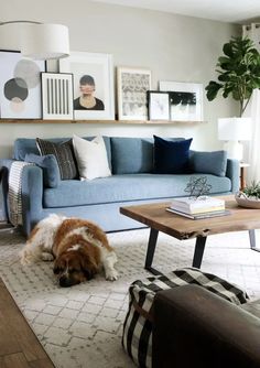 a dog laying on the floor next to a couch and coffee table in a living room