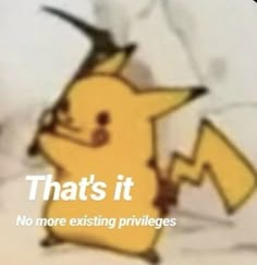 a cartoon pikachu with the caption that's it no more existing pril