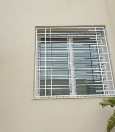 a white window with bars on it and a plant next to it