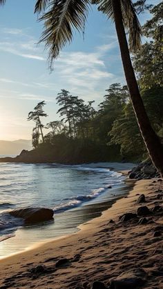 a beach with palm trees on the shore and water in the foreground at sunset