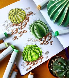 an open notebook with drawings of cactuses and succulents next to some crayons