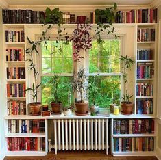 a room filled with lots of books and plants next to a window covered in windowsills