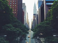 an empty city street with tall buildings and trees