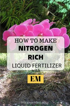 pink flowers with the words how to make hydrogen rich liquid fertilizer with em