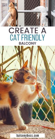 a cat standing on top of a wooden floor next to a fence and another cat behind it