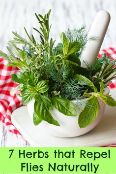 fresh herbs in a mortar bowl on a red and white checkered tablecloth with utensils