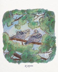 two birds sitting on top of a tree branch