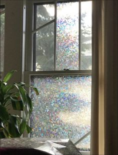 a potted plant sitting in front of a window filled with lots of glass shards