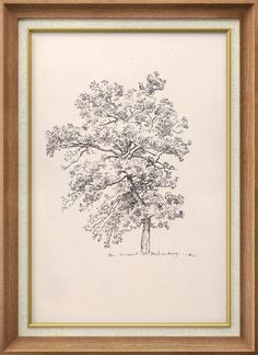 a drawing of a tree in a wooden frame