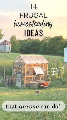 14 frugal homesteading ideas that anyone can do pin image 2acre Homestead, Homestead Lunch Ideas, How To Create A Homestead, Homesteading Small Space, Homestead Layout 2 Acres, Small Backyard Homestead Layout, Easy Homestead Projects, Mini Homestead Ideas, Small Homestead Garden Layout