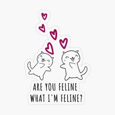 two cats with hearts flying out of their mouths and the words are you feline what's my feelings?