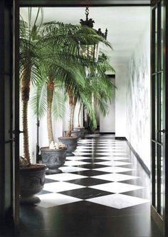 a black and white checkered floor with potted palm trees on either side of the door