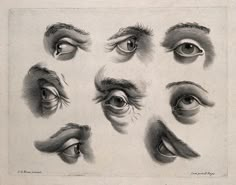 an old drawing of different types of eyes