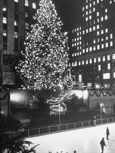 a large christmas tree is lit up in the city