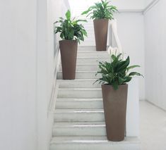 three potted plants sitting on the stairs