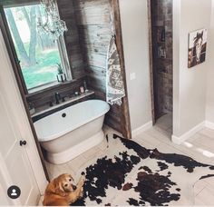 a dog sits on the floor in front of a bathtub and rug that looks like cow hides