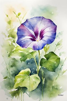 a watercolor painting of a purple flower with green leaves on the bottom and side