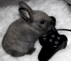 a small rabbit sitting next to a video game controller on top of a white rug