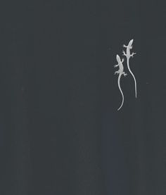 two geckos standing on top of each other in the night sky with their tails spread out