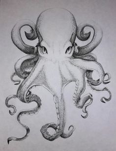 an octopus is drawn in pencil on paper