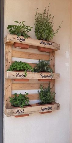 wooden pallet herb planter with herbs on it