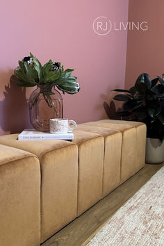 a living room with pink walls and two planters on the end tables in front of it