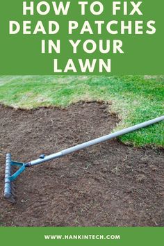 a lawn mower with the words how to fix dead patches in your lawn on it