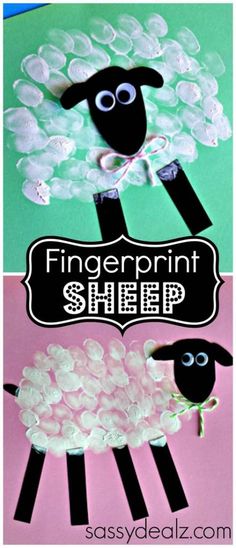 paper plate sheep craft with the words fingerprint sheep in black, white and pink