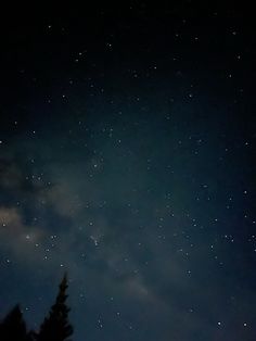 the night sky is filled with stars and clouds, as well as some pine trees