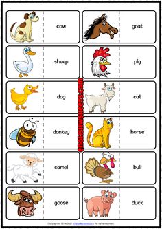 an animal and bird word family worksheet