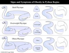 an image of different types of signs and syphons of oesity in tyton regus