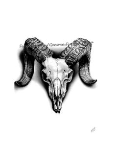 an animal skull with long horns on it's head is shown in black and white