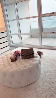 a dog laying on top of a white round bed in a room with large windows