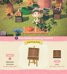 the animal crossing game is being played on nintendo wii and it looks like they are going to